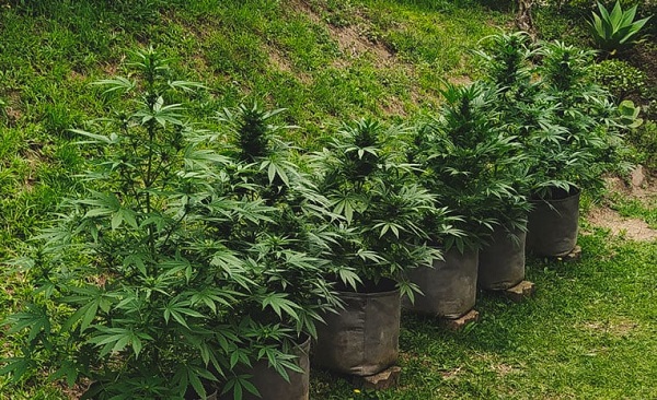 automaty outdoor