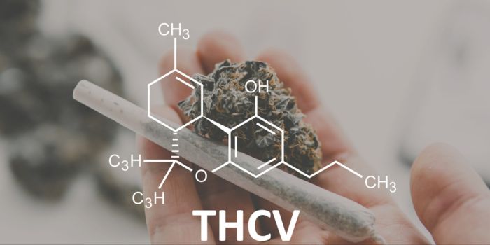 thcv