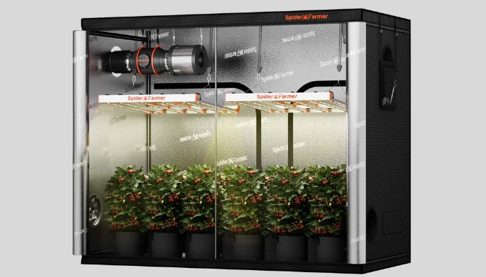 growbox