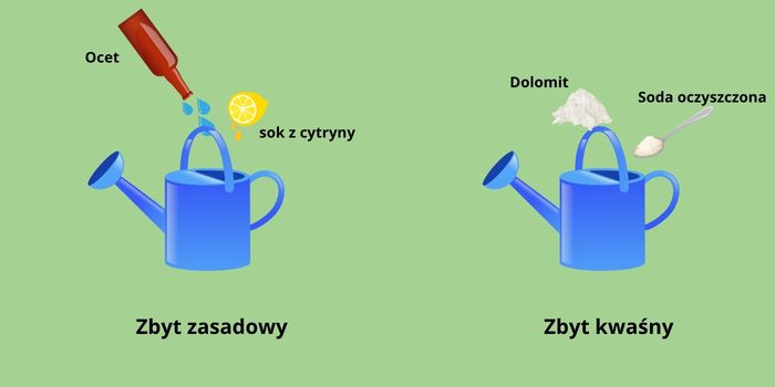 Jak wyregulować pH konopi w glebie i hydroponice