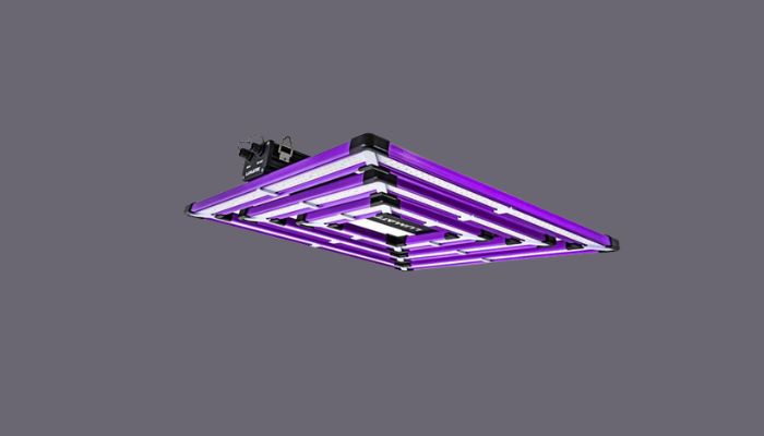 lampa do uprawy konopi