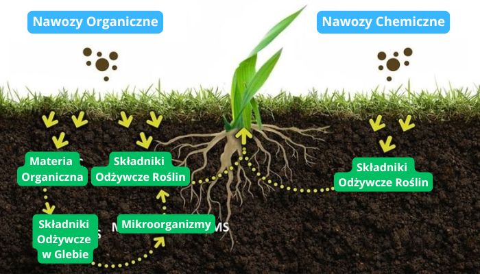 nawozy do konopi chemiczne i organiczne
