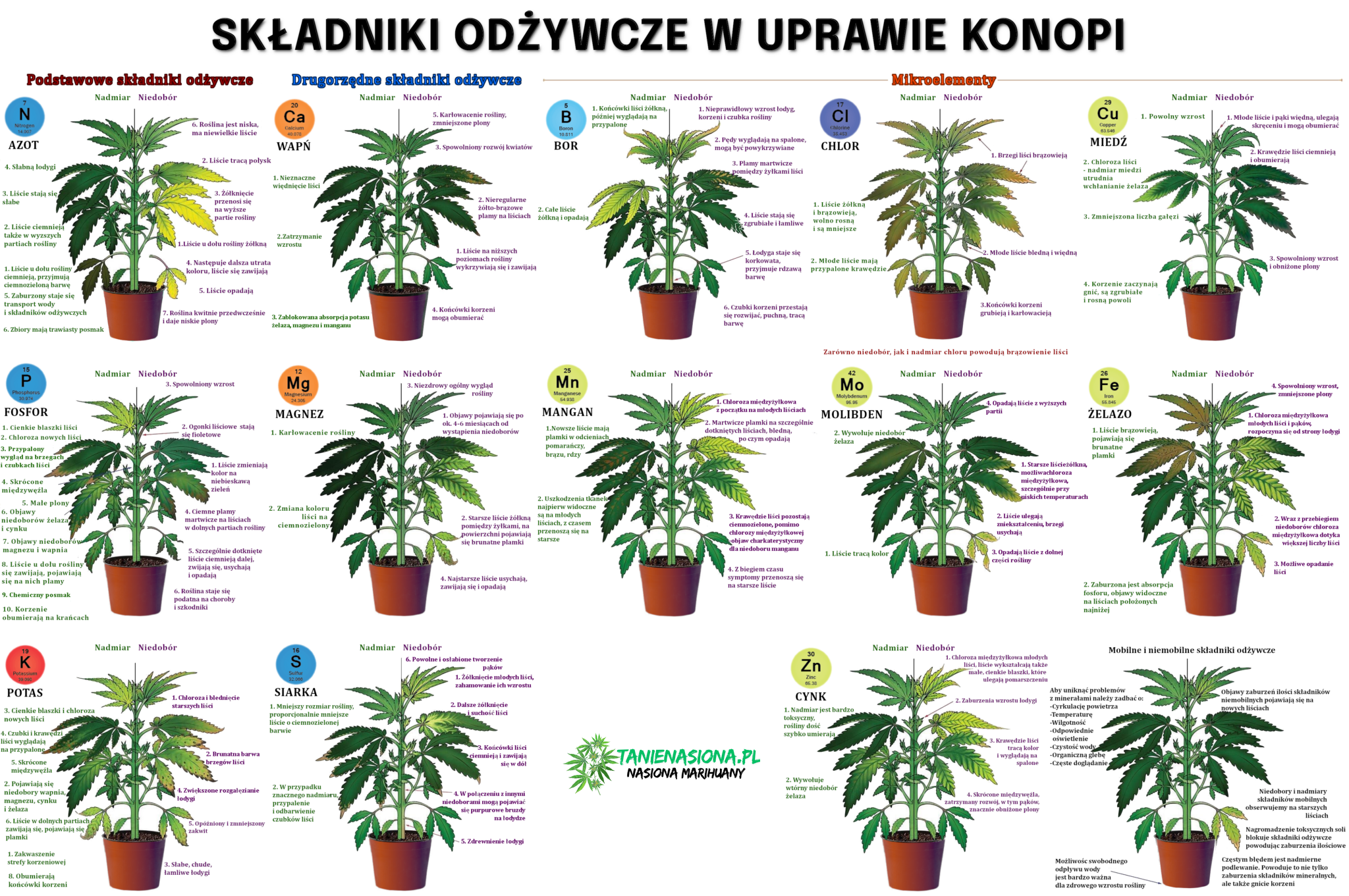 substancje odżywcze w uprawie konopi