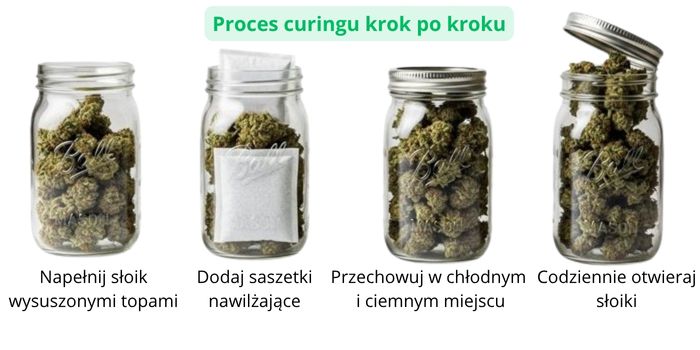 proces utwardzania marihuany
