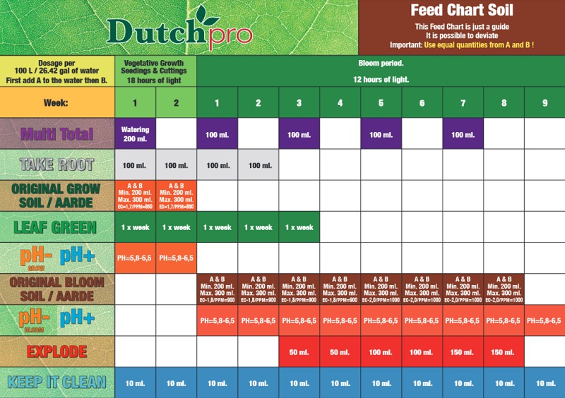 tabela dutch pro