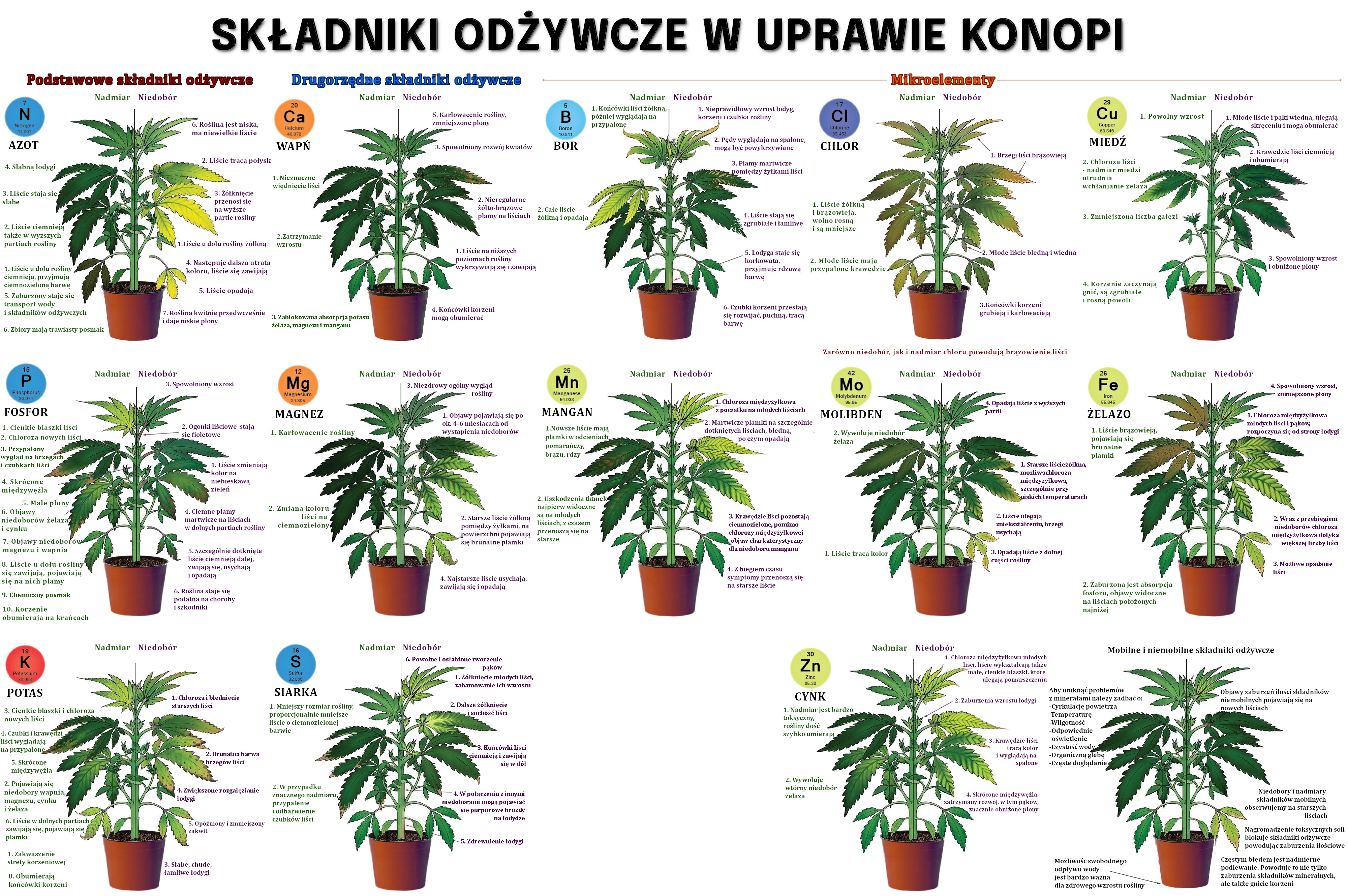 tabela niedoborów i nadmiar składników odżywczych