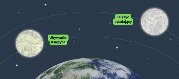 uprawa konopi i księżyc