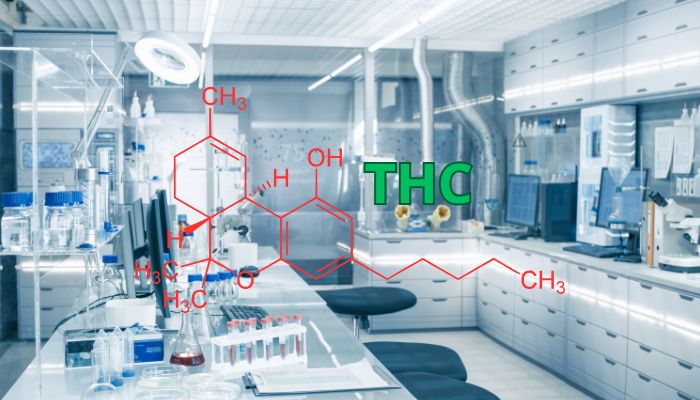 analiza laboratoryjna poziomow THC i CBD