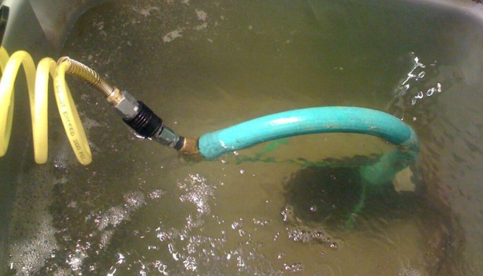 Aquaponika w uprawie marihuany
