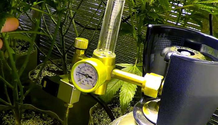 butla co2 na plantacji marihuany