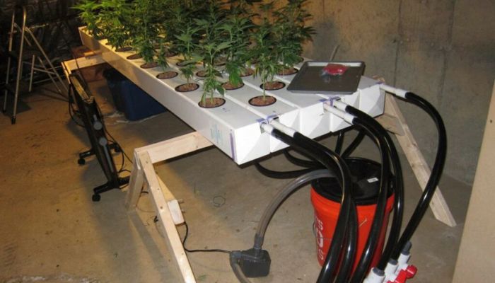 system hydroponiczny NFT