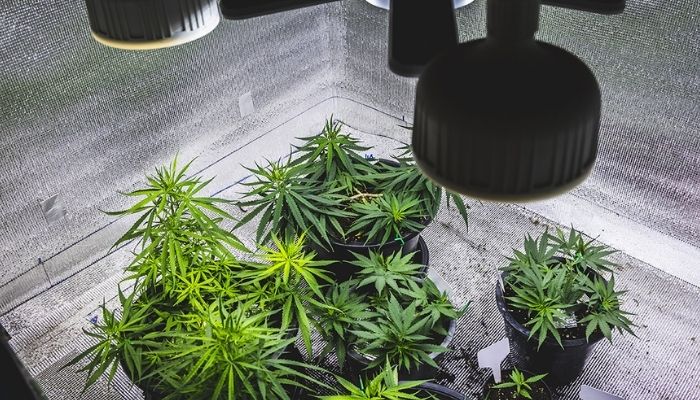 Materiały i folie odblaskowe do growboxa