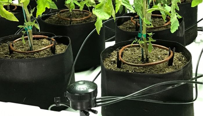 Drip Irrigation System