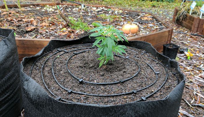 Drip Irrigation System