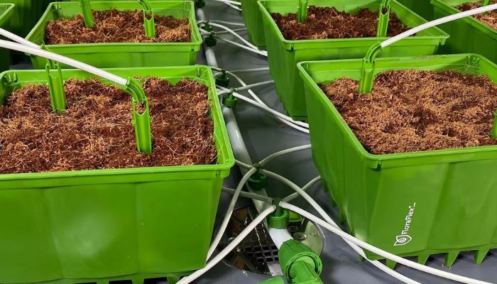 Drip Irrigation System