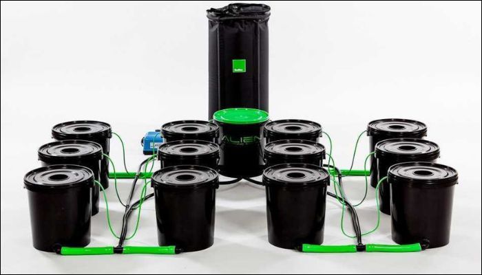 Deep Water Culture (DWC)