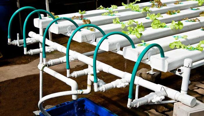 system hydroponiczny NFT