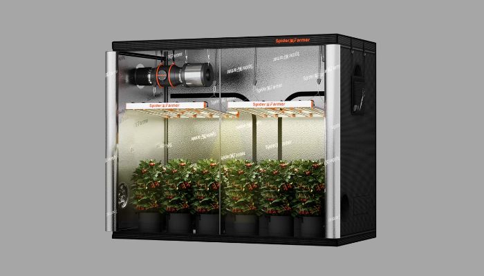 growbox do marihuany