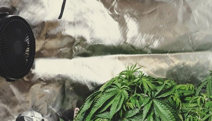 Materiały i folie odblaskowe do growboxa