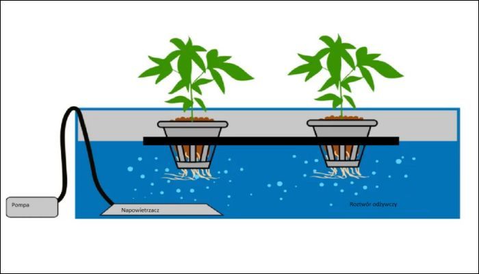 System hydroponiczny DWC