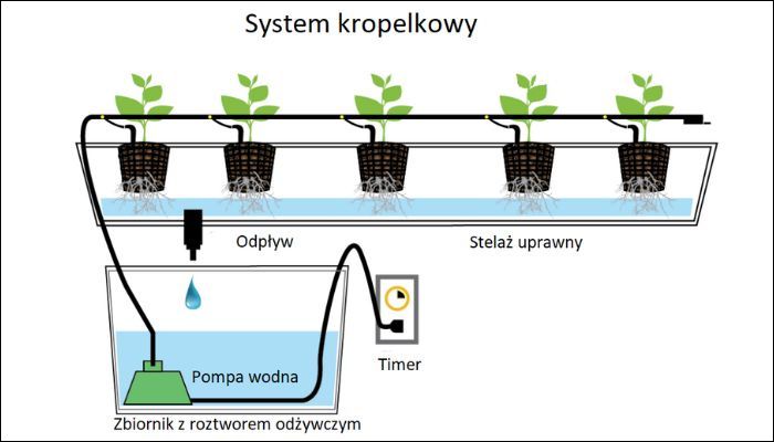 Drip Irrigation System – nawadniający system kropelkowy