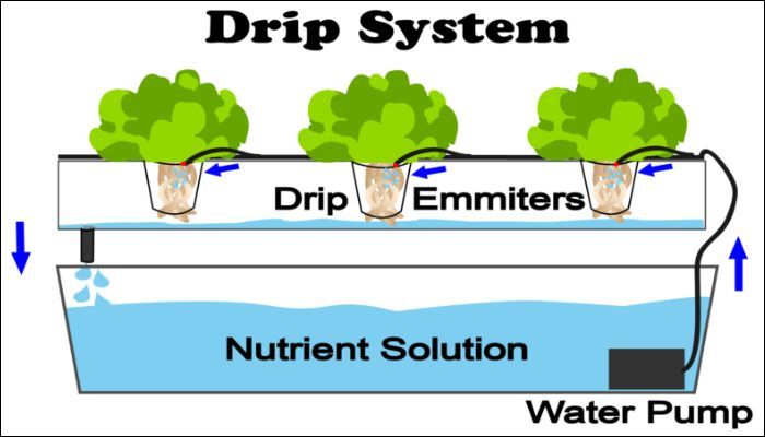 System kroplujący (Drip System)