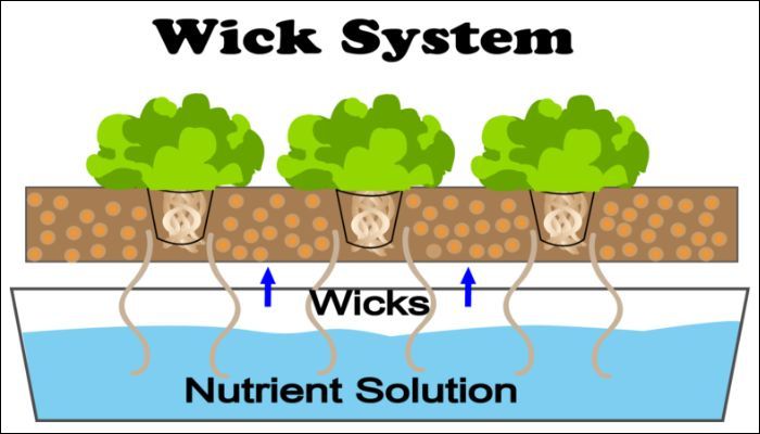 System wchłaniający wilgoć (Wicking System)