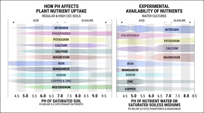tabela ph w hydroponice