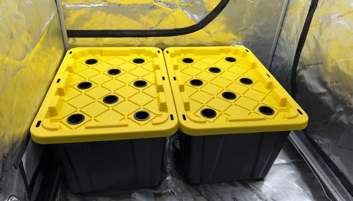 wicking system hydroponiczny knotowy