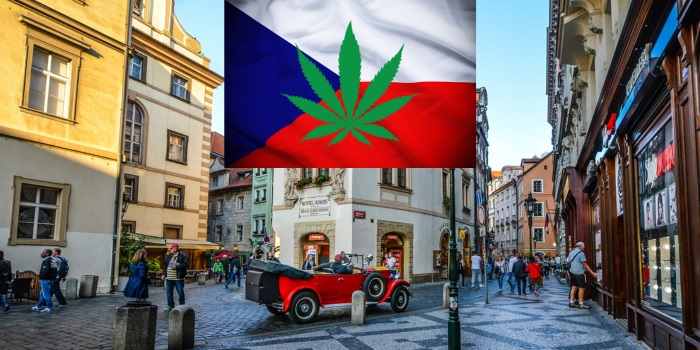 marihuana i czechy