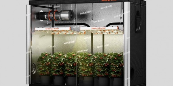Ile prądu zużywa growbox?