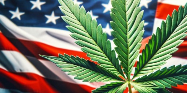Marihuana w USA - w jakich stanach jest legalna? - dozwolone ilości