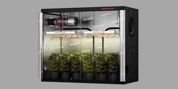 Jaki wybrać growbox do uprawy marihuany?
