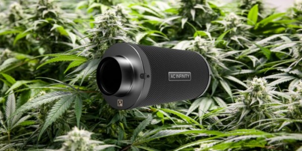 Jaki wybrać filtr węglowy do growboxa i jak usuwa zapachy?